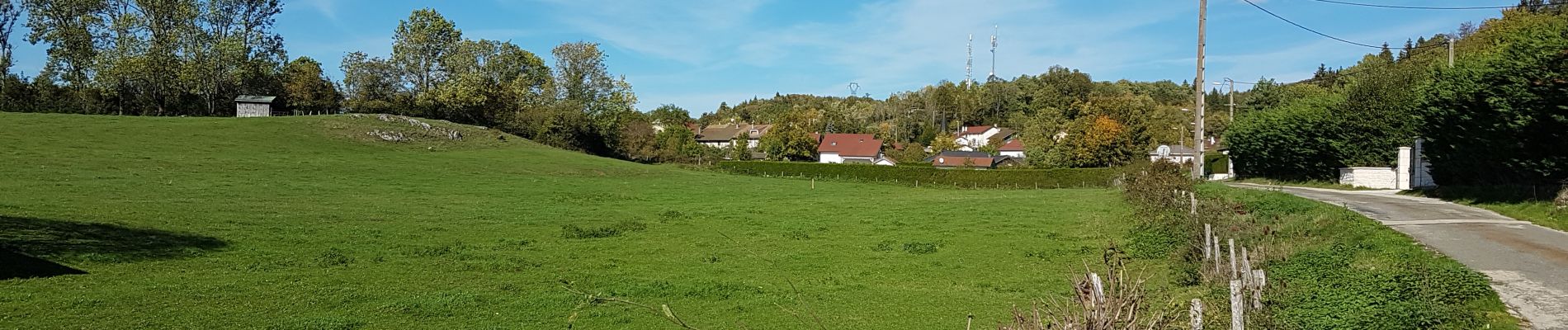 Tocht Stappen Arbent - Arbent Bois du Roy - Photo