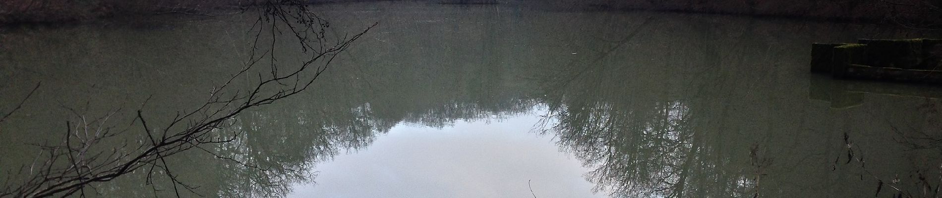 Tour Zu Fuß Neunkirchen-Seelscheid - Rehwiese Rundweg A3 - Photo