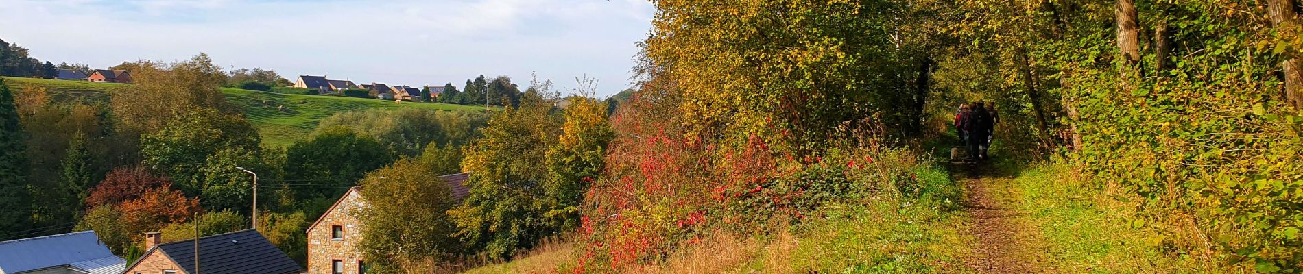 Excursión Senderismo Mettet - Marche Adeps à Ermeton-sur-Biert - Photo