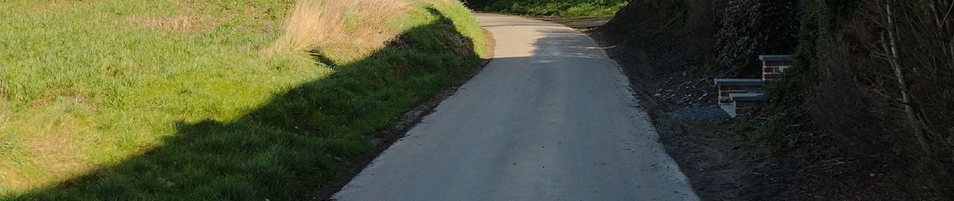 Excursión Senderismo Le Rœulx - Promenade à Mignault  - Photo