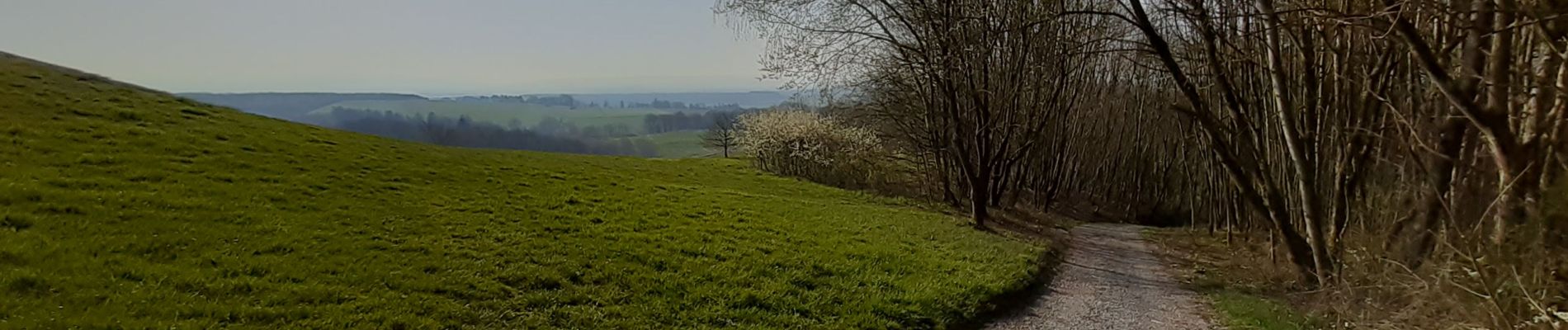 Randonnée Marche Havelange - golf - Photo