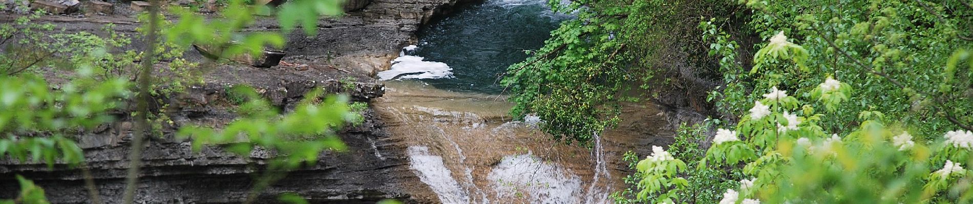 Percorso A piedi Bagno di Romagna - Rio Petroso: non solo foreste - Photo