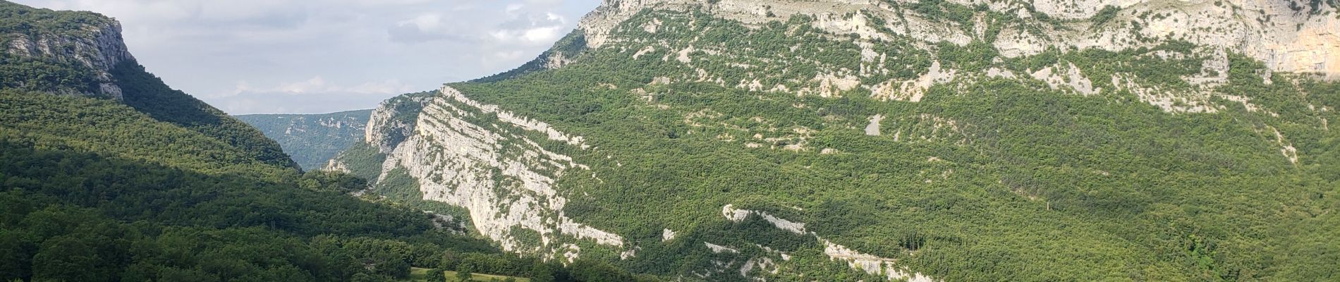 Excursión Senderismo Courmes - Courmes. Le plateau de Saint Barnabé et le champ des Idoles. - Photo