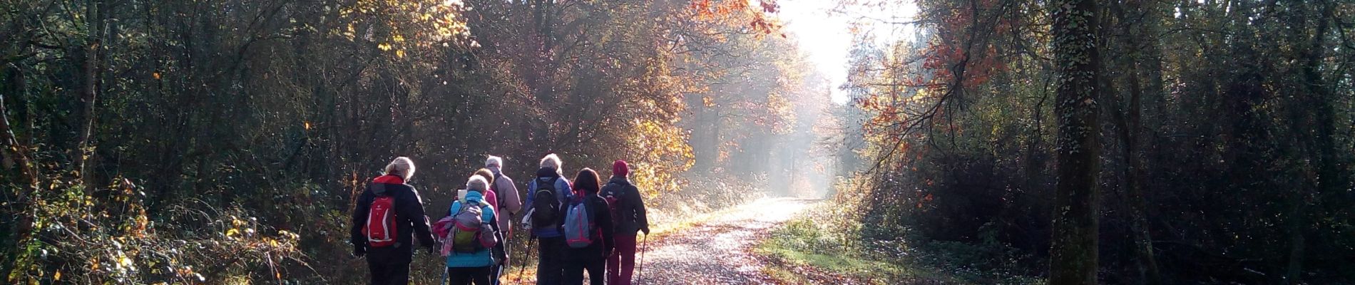 Tour Wandern Chevreuse - chevreuse - Photo