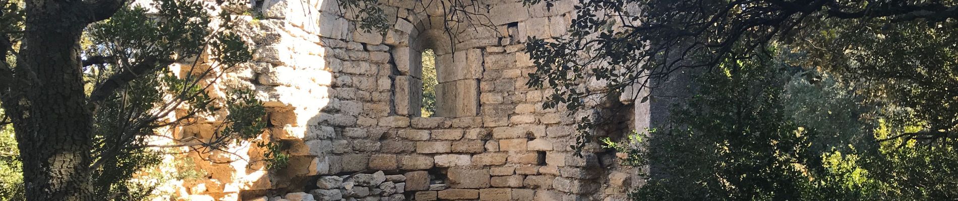 Excursión Senderismo Alleins - Les 3 chapelles et la Tour Vieille - Photo