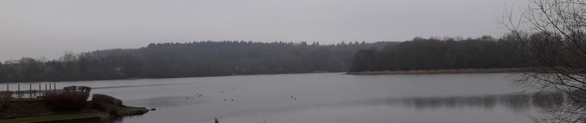 Trail Walking Fosses-la-Ville - Bambois 050121 - Photo