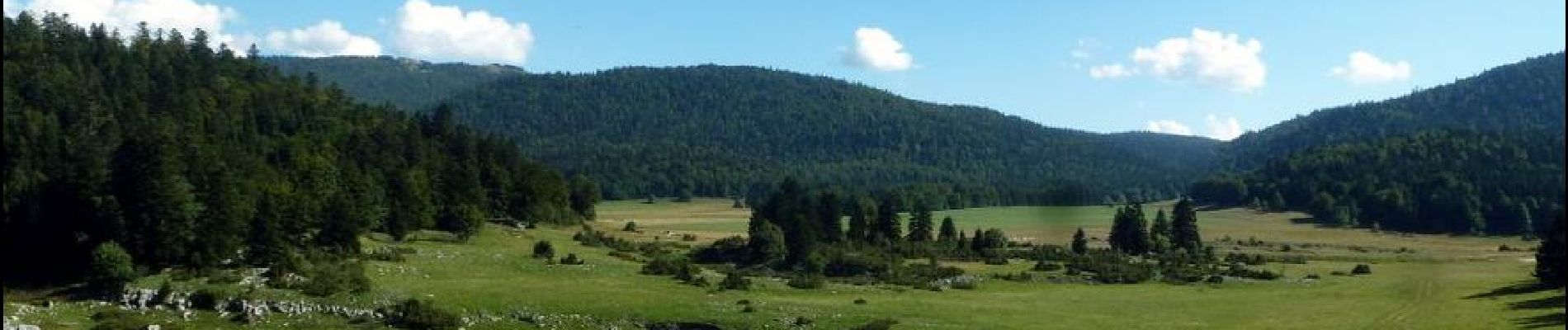 Trail Horseback riding Bouvante - Ferme de Lente vers col de la machine version courte - Photo