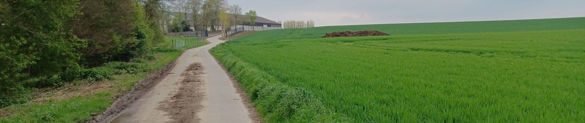 Tocht Stappen Nijvel - Boucle champêtre Nivelles/Genappe  - Photo