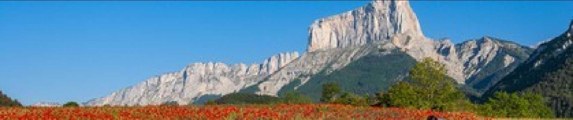 Percorso Bici da strada Lus-la-Croix-Haute - C21 - Le Trièves - Photo