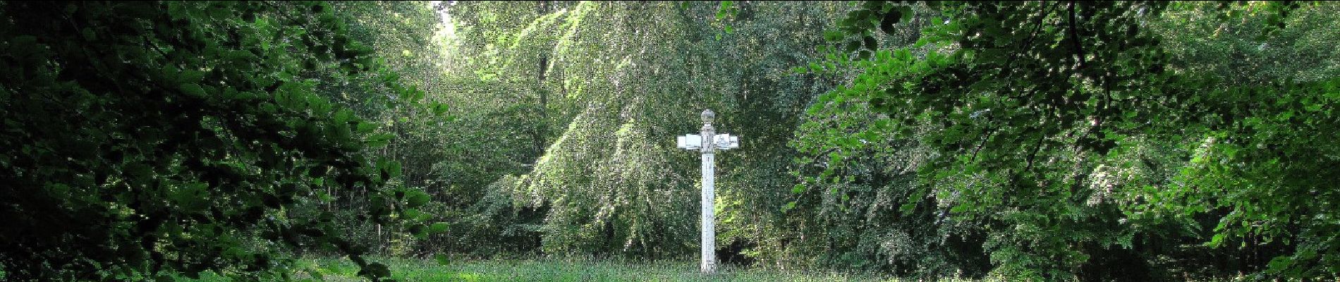 Tour Zu Fuß Tracy-le-Mont - le GR655 dans les Forêts de Laigue et de Compiègne - Photo