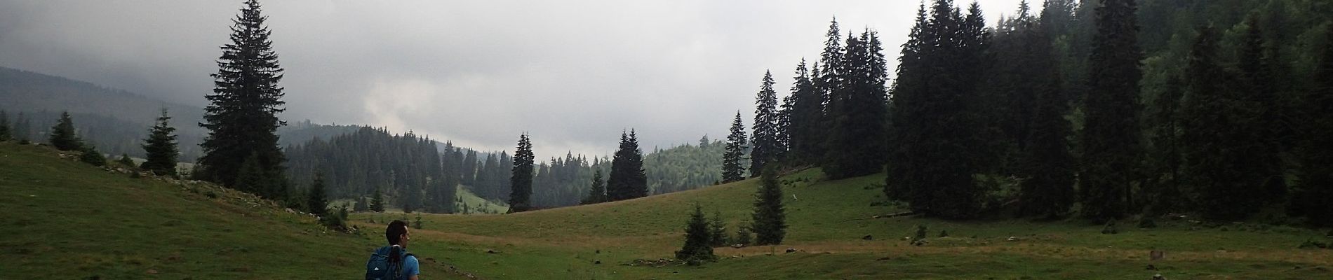 Excursión A pie Unknown - Circuitul Cetăților Rădesei - Photo