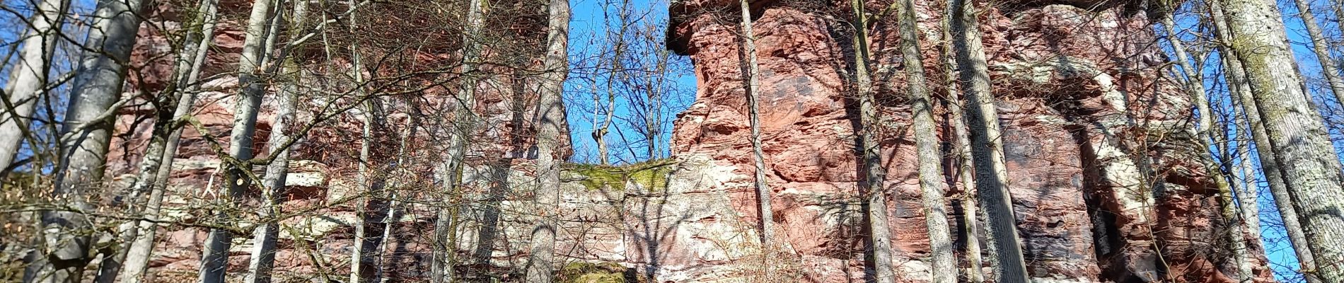 Randonnée Marche Sturzelbronn - sturenbron alsace - Photo