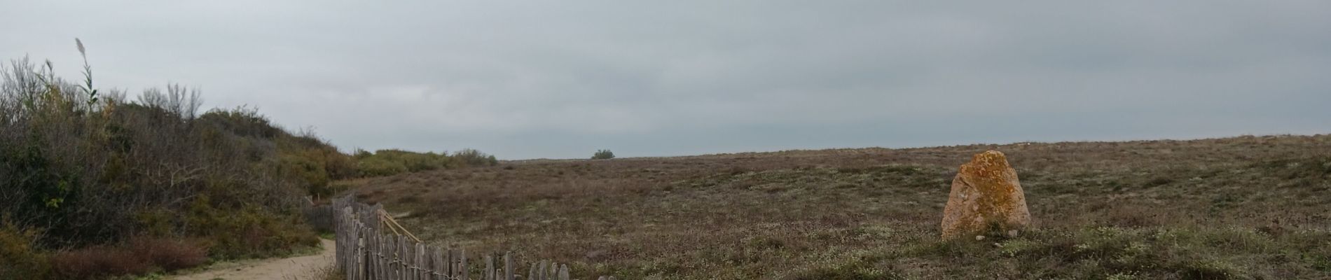 Tocht Stappen Argelès-sur-Mer - mas larrieu dans la tourmente automnale   - Photo