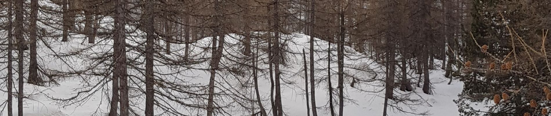 Percorso Racchette da neve Entraunes - cabanes de sanguinieres et roche trouée - Photo