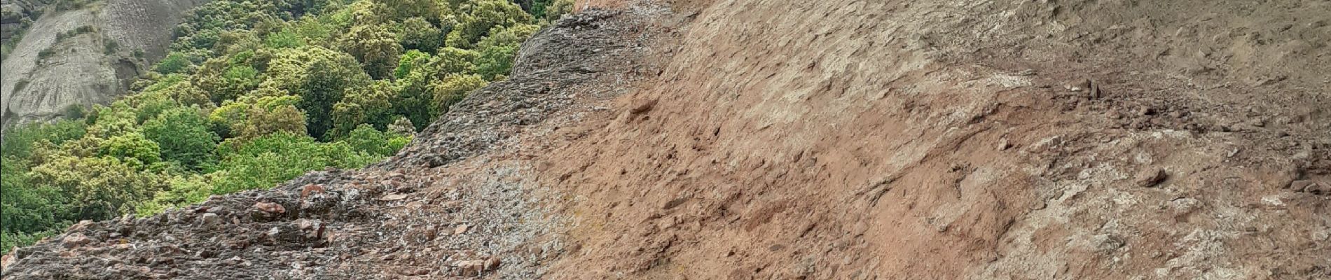 Excursión Senderismo Roquebrune-sur-Argens - les 3 croix - Photo