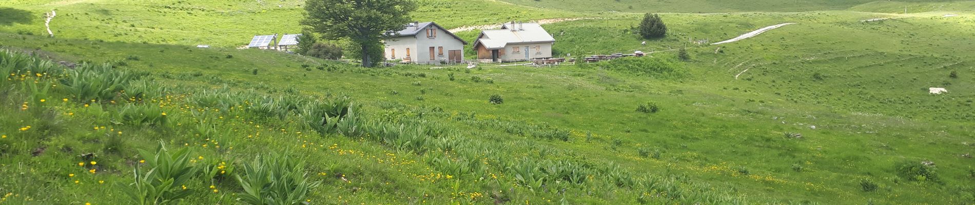 Randonnée Marche Engins - Circuit pas de la Lose, du Tracollet, de l'Ours avec un retour par le passage  de la Grande Combe - Photo