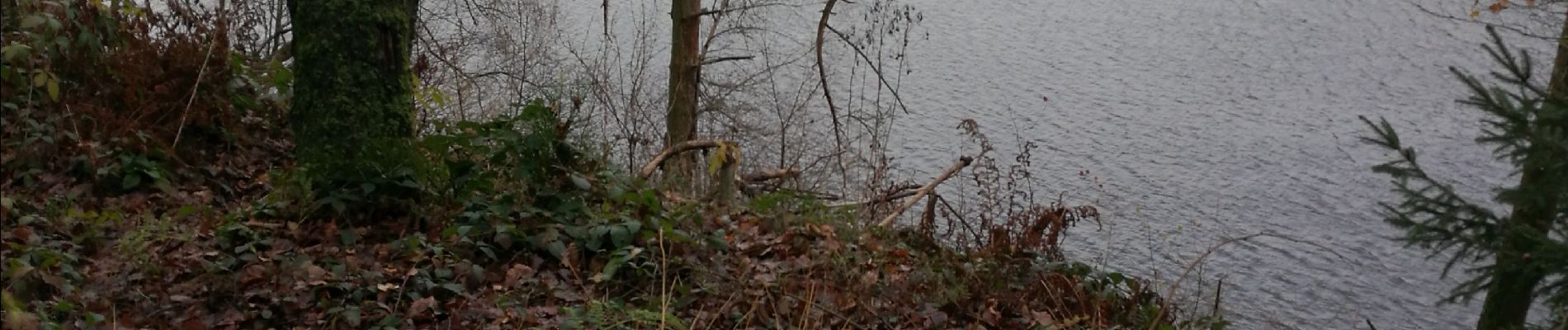 Tocht Noords wandelen Eupen - autour du lac - Photo