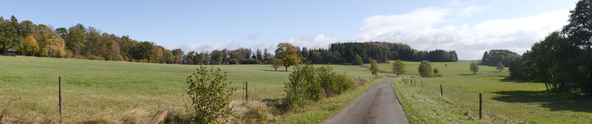 Tour Zu Fuß Herbstein - Felsentour Herbstein - Photo