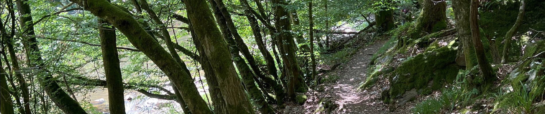 Randonnée Marche Florenville - Azy-les épioux depuis Chassepierre - Photo