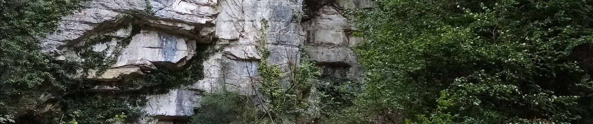 Percorso A piedi Sassenage - Les Gorges du Furon - Photo