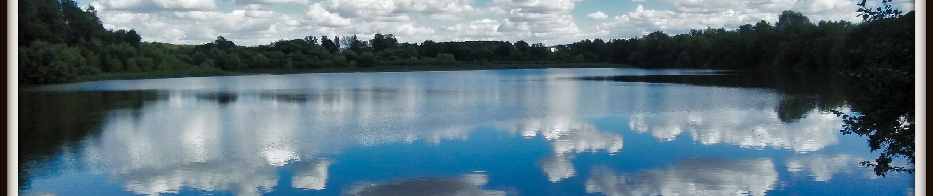Point d'intérêt Virton - Les étangs de Latour - Photo