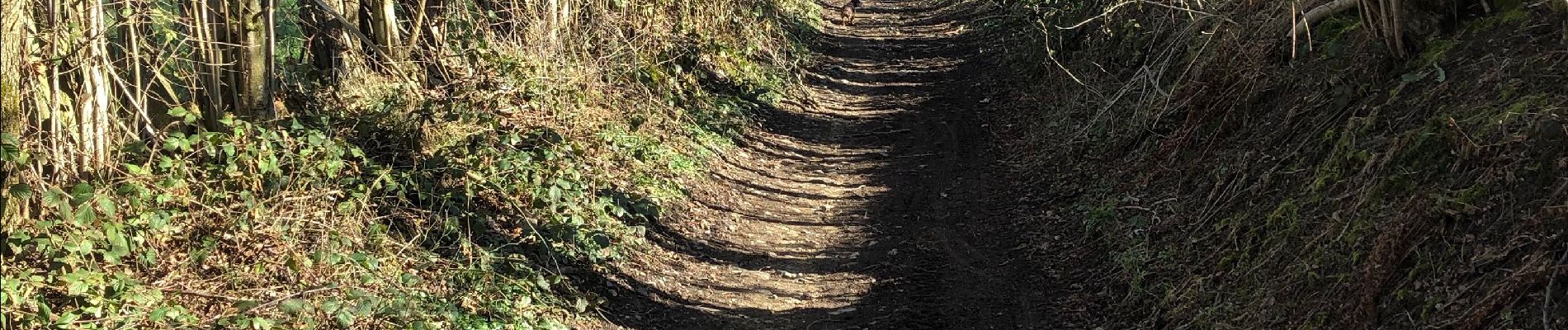 Randonnée A pied Theux - Boucle de Theux-Hodbomont 9 Km - Photo