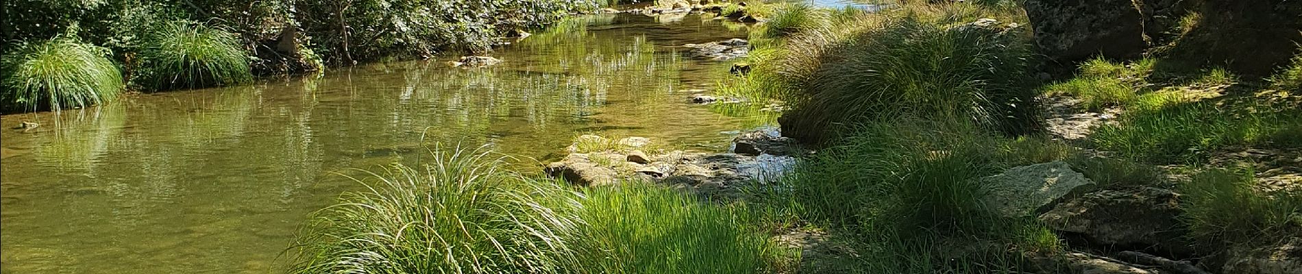 Excursión Senderismo Sommières - Sommières les moulins du Vidourle  - Photo