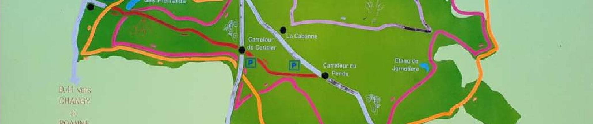 Point d'intérêt Saint-Forgeux-Lespinasse - Carte de la forêt - Photo