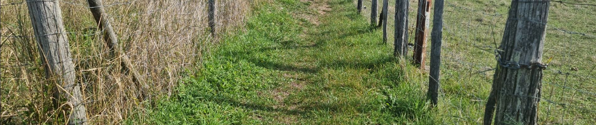 Tour Wandern Vendôme - Vendôme - Villiers-sur-Loir  - Photo