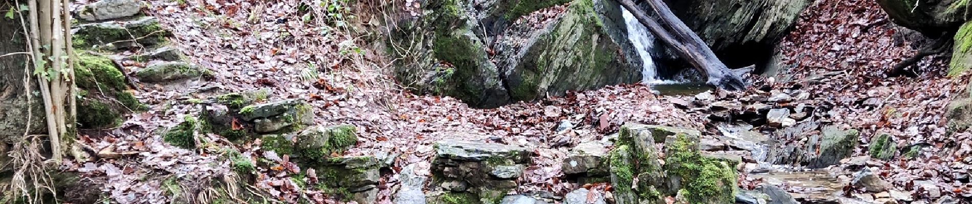 Point d'intérêt Theux - La cascade de Haldeboeuf - Photo