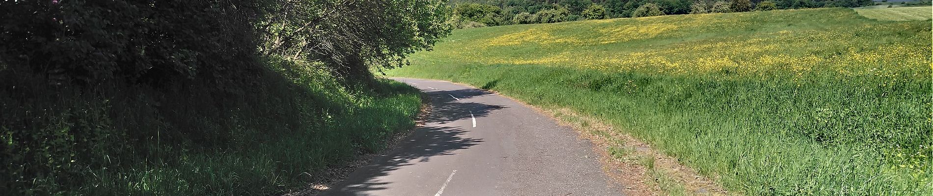 Percorso A piedi Hösbach - Nördlicher Rundweg - Photo