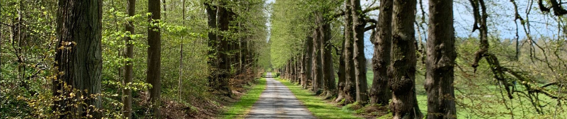 Randonnée Marche Ciney - Achene nouvelle balade - Photo