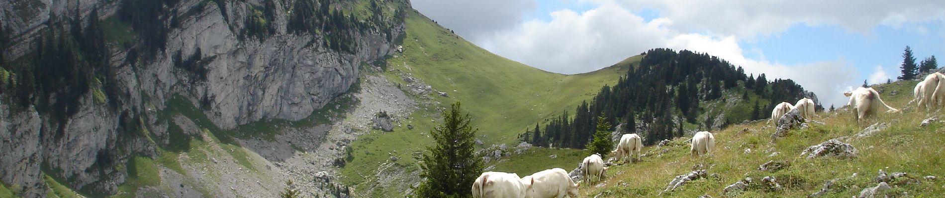 Randonnée Marche Saint-Christophe-sur-Guiers - Petit Som - Photo