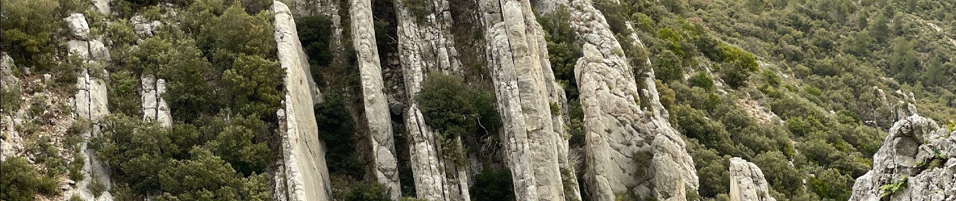 Trail Walking Puyloubier - Ste Victoire (pic des Mouches et brèche du clapier) - Photo