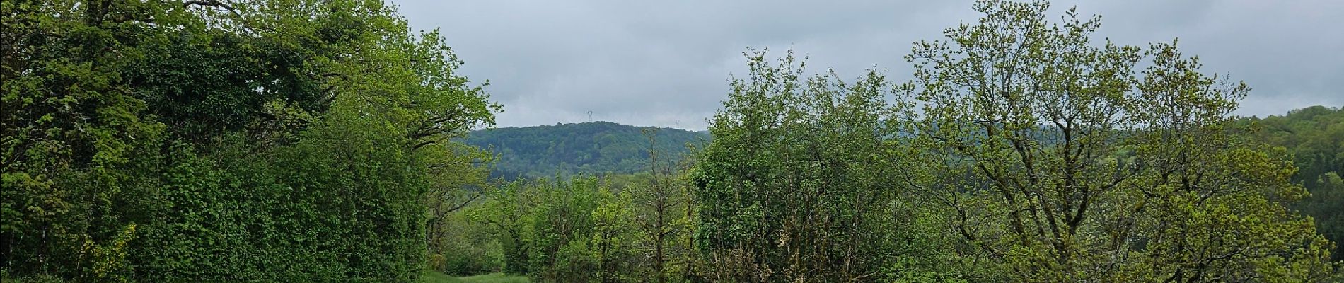 Trail Walking Écrille - Quelque part dans le Jura 🥾 - Photo