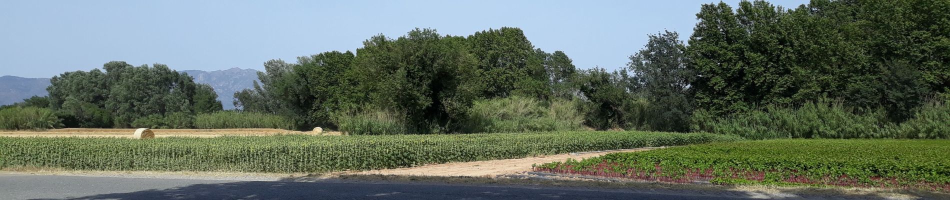 Tocht Stappen Roses - Gr92-05 - Photo