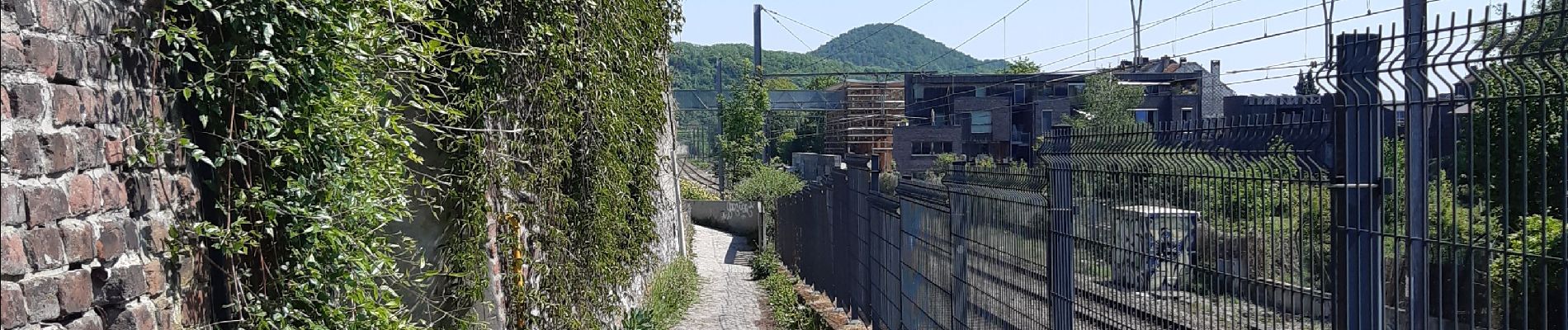 Tocht Stappen Luik - rando la plus bucolique sur les coteaux rive gauche de la meuse - Photo