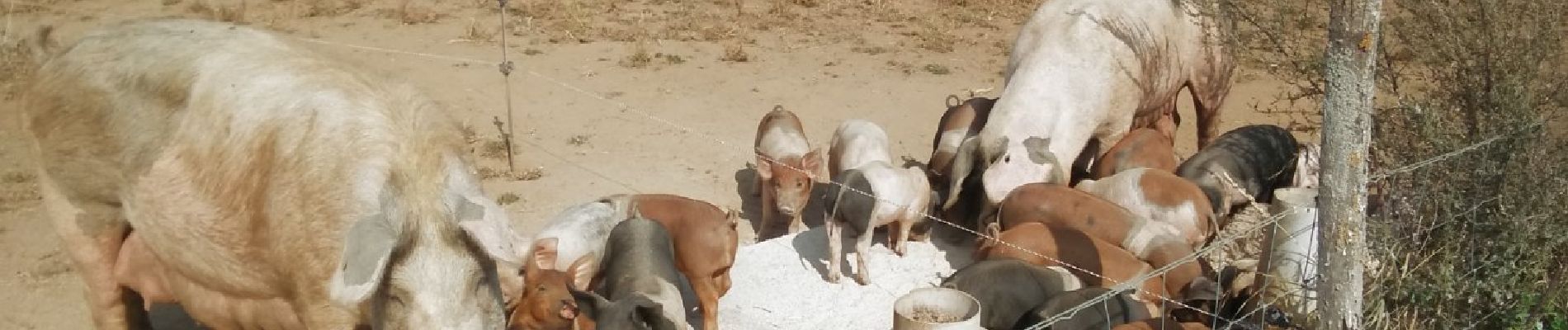 Punto di interesse Meix-devant-Virton - La Ferme de Rosière à Houdrigny - Photo