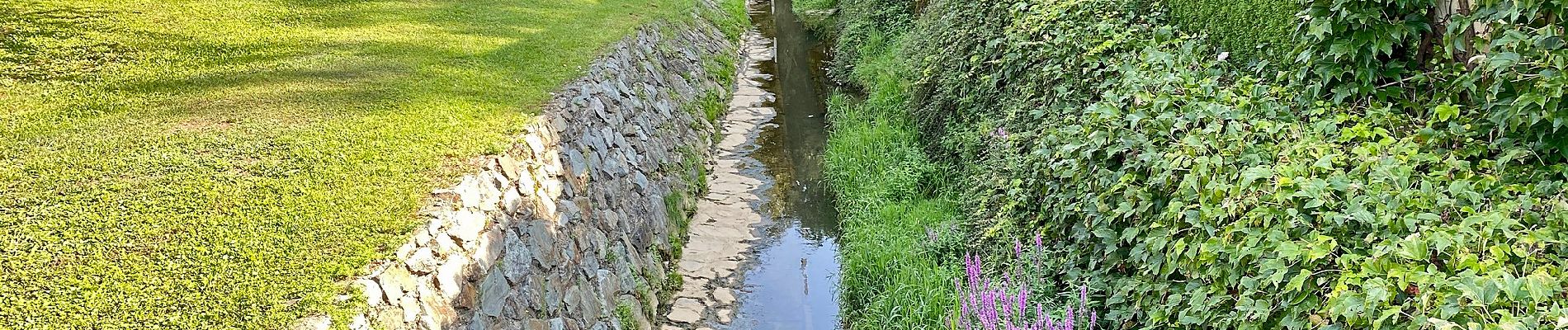 Tour Zu Fuß Bad Tatzmannsdorf - Walking/Wanderweg W11 - Photo