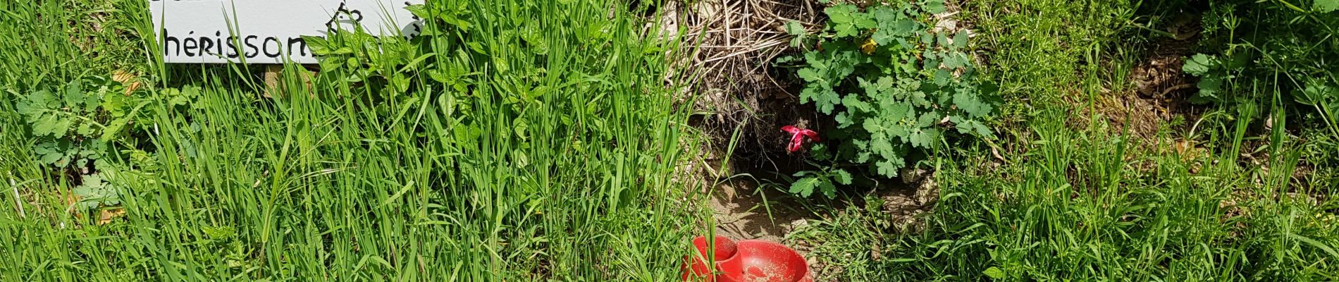 Tour Wandern Parmain - Auvers Valhemeil - Photo