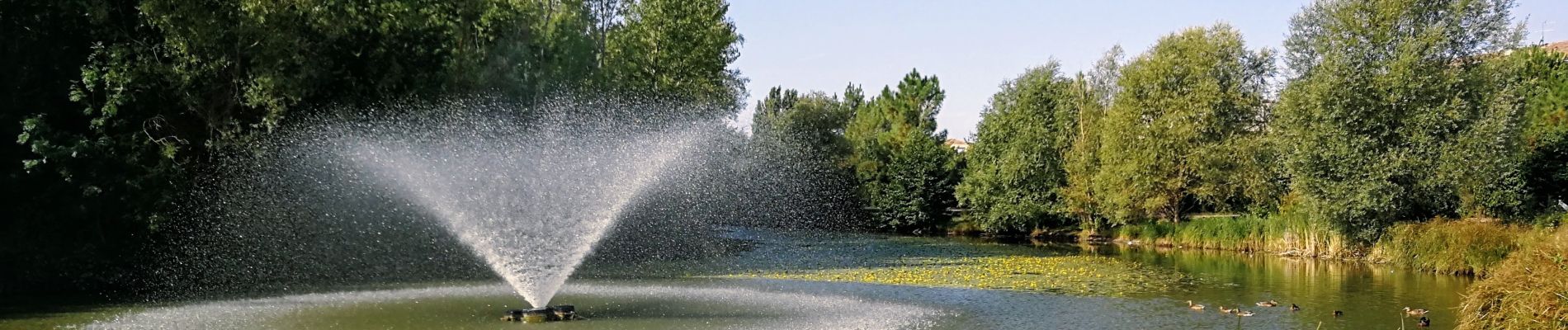 Tour Wandern Toulouse - Borderouge - Photo