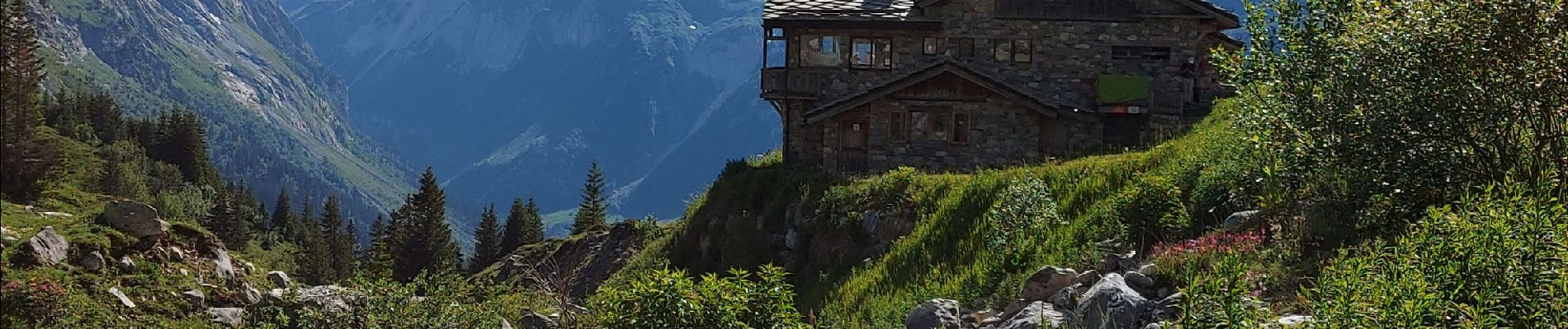 Percorso Marcia Pralognan-la-Vanoise - Le col de la Vanoise par le cirque de l'Arcelin - Photo