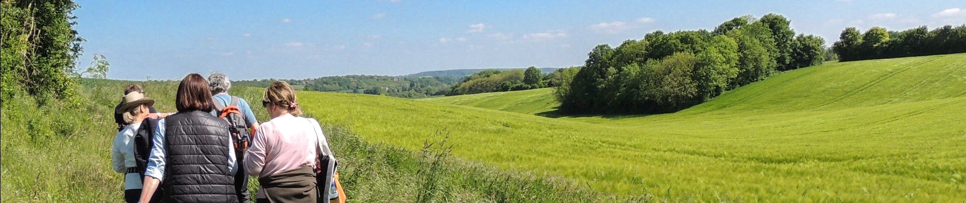 Randonnée Marche Belforêt-en-Perche - La Perrière - Saint-Germain-de-la-Coudre via Igé (TCP) 27 km - Photo