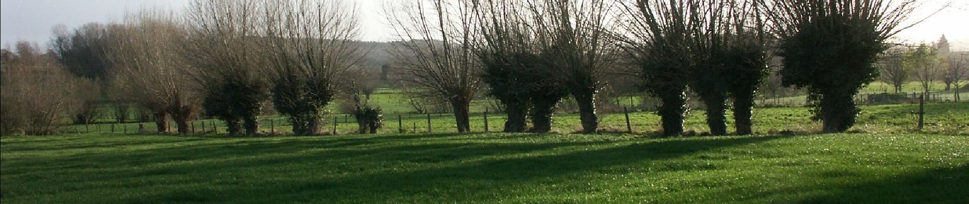 Tocht Te voet Poperinge - Zevekotepad Reningelst - Photo