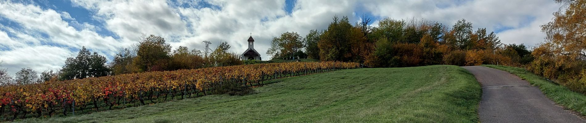 Tocht Stappen Jongieux - jongieux - Photo