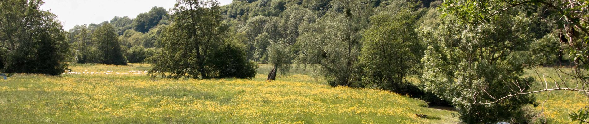 Tocht Stappen Thiron-Gardais - Nogent-le-Rotrou - Thiron-Gardais via Marolles-les-Buis 20 km - Photo