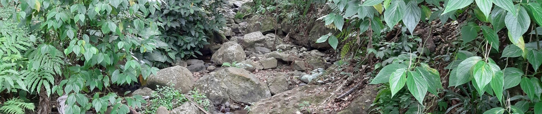 Percorso Marcia Fort-de-France - Boucle d'Absalon via Les Bénédictins et Morne Bois d'Inde. - Photo