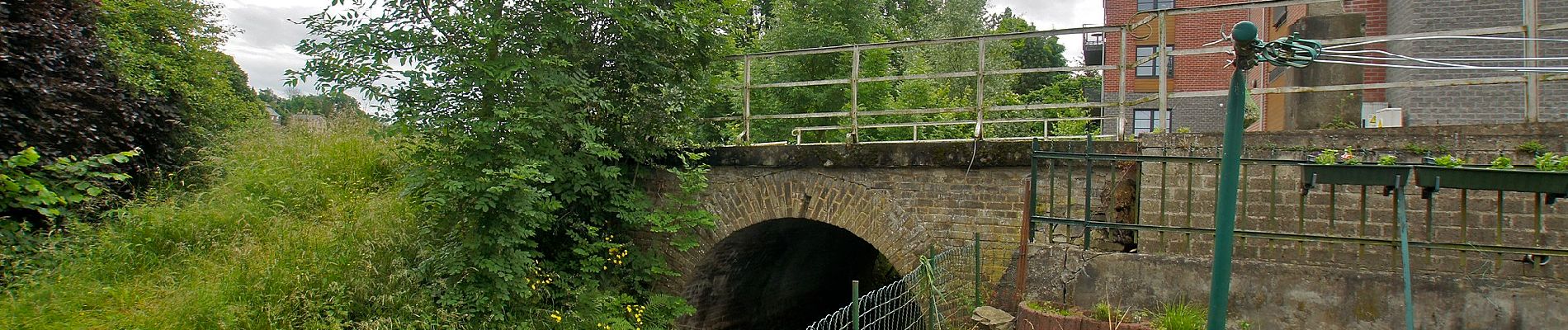 Trail On foot Blegny - Des 7 villages a pied - Photo