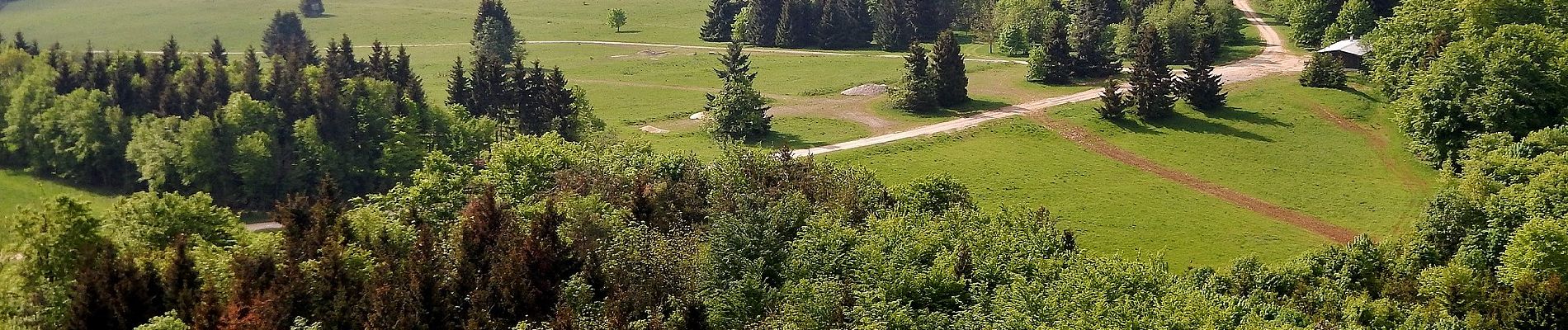 Tour Zu Fuß Gomadingen - Truppenübungsplatz Wanderweg Nr. 8: Eingang Eichenfeld - Turm Hursch - Photo