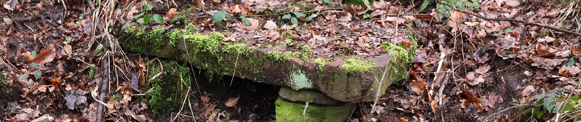 Tocht Te voet Onbekend - Rundwanderweg Darmstadt Am Forschungszentrum 9: Dianaburg-Weg - Photo